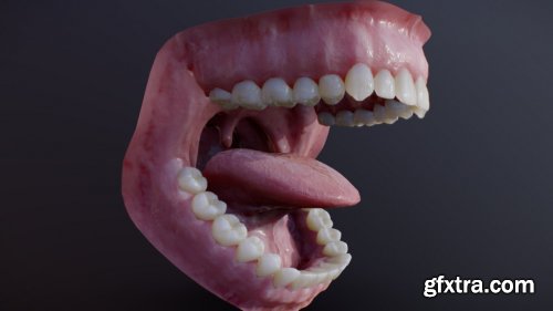 Photorealistic human mouth