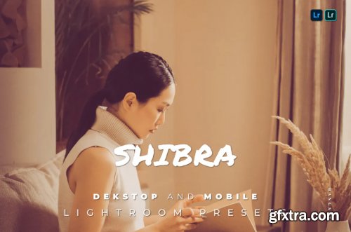 Shibra Desktop and Mobile Lightroom Preset
