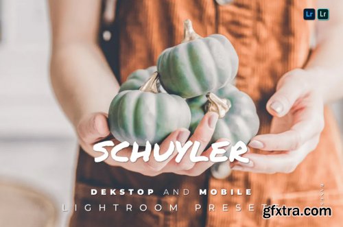 Schuyler Desktop and Mobile Lightroom Preset