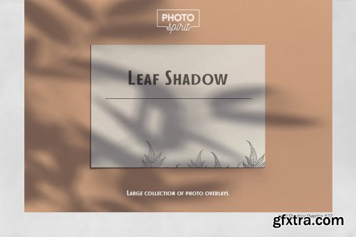CreativeMarket - Leaf Shadow Overlays 6341914