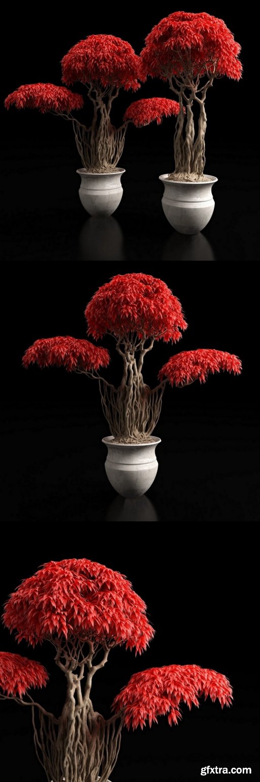 Red bonsai plant