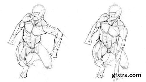 PROKO - Anatomy of the Human Body for Artists: The Basics