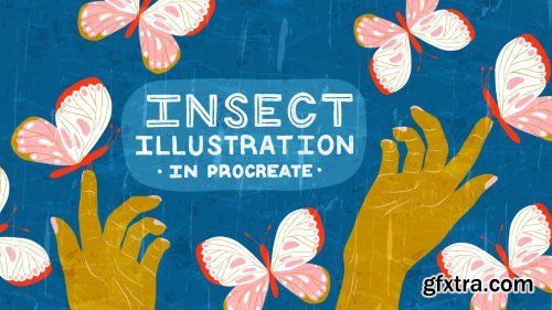 Insect Illustrations and Animations in Procreate