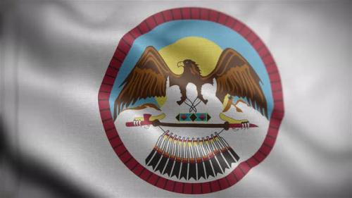 Videohive - Flag Of The Uintah And Ouray Indian Reservation Front - 34133206