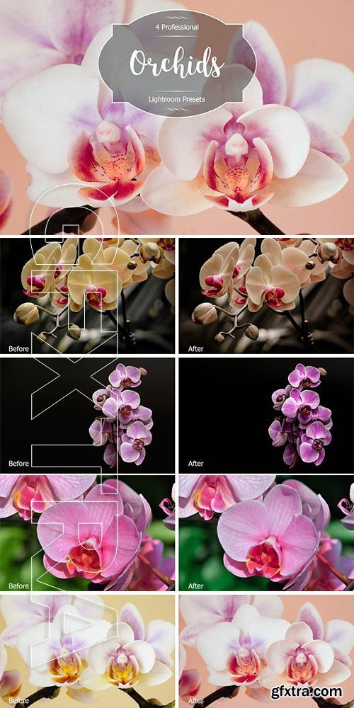 CreativeMarket - Orchids Lr Presets 2942880