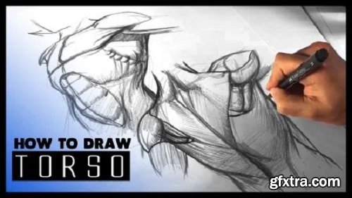 How to Draw the Human Torso - Drawing the Body