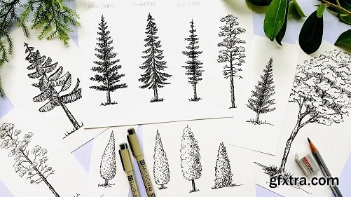 Let\'s Sketch Trees- Pine Trees | Birch Tree | Shrubs | Bushes - Floral Illustration
