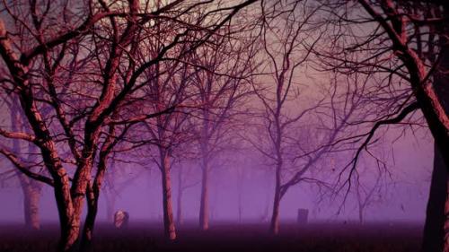 Videohive - Purple Fog Forest 4K - 34236546