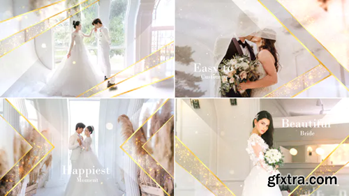 Videohive Elegant Particle Wedding Slideshow 31687220