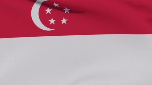 Videohive - Flag Singapore Patriotism National Freedom Seamless Loop - 34244637