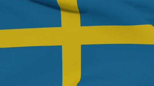 Videohive - Flag Sweden Patriotism National Freedom Seamless Loop - 34244652