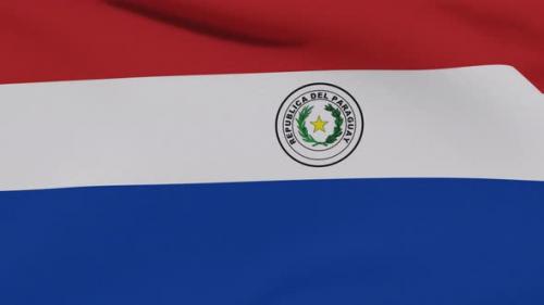 Videohive - Flag Paraguay Patriotism National Freedom Seamless Loop - 34244862