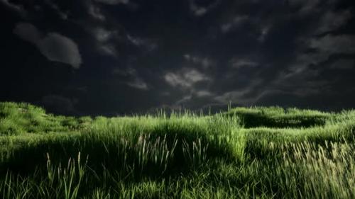 Videohive - Storm Clouds Above Meadow with Green Grass - 34249733