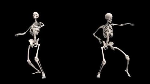 Videohive - Skeleton Dancing Twist - 33025802