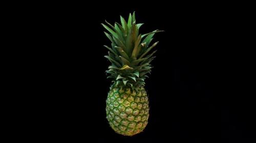 Videohive - Spinning 3D Pineapple - 34422566