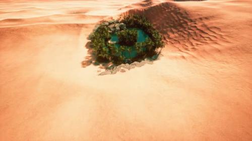 Videohive - Top Down Aerial View of Oasis in Desert - 34449143