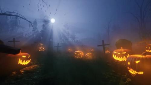 Videohive - Halloween pumpkin field looped 4K - 34343057