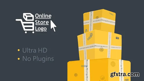 Videohive Online Store Logo 23960272