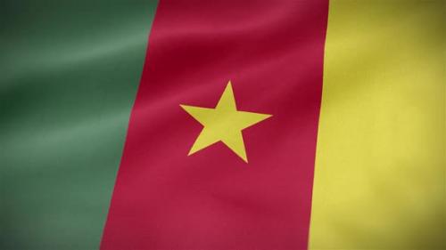 Videohive - Cameroon Flag - 33098025
