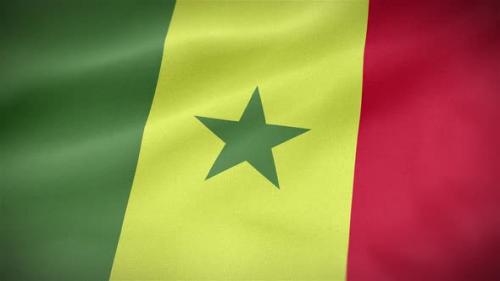 Videohive - Senegal Flag - 33229898