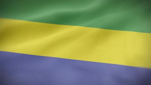 Videohive - Gabon Flag - 33246913