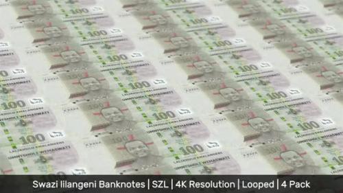 Videohive - Eswatini (Swaziland) Banknotes Money / Swazi lilangeni / Currency E / SZL / 4 Pack - 4K - 34491044
