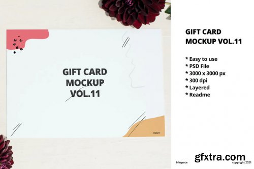 Gift Card Mockup Vol.11