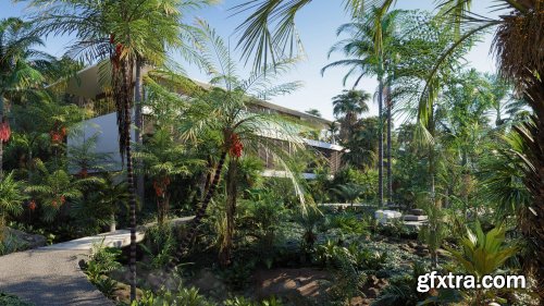 Globe Plants - Bundle 15 - Palm World