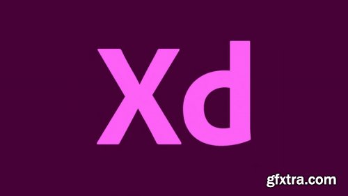 Adobe XD 2021 Basics