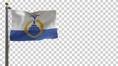 Videohive - Orlando City Flag (Florida, USA) on Flagpole with Alpha Channel - 4K - 34508029
