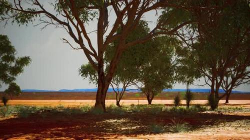 Videohive - Dry African Savannah with Trees - 34519725