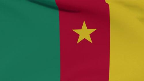 Videohive - Flag Cameroon Patriotism National Freedom Seamless Loop - 34507467