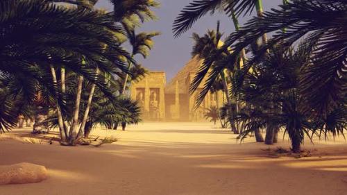 Videohive - Palm Grove And Pyramid - 30881700