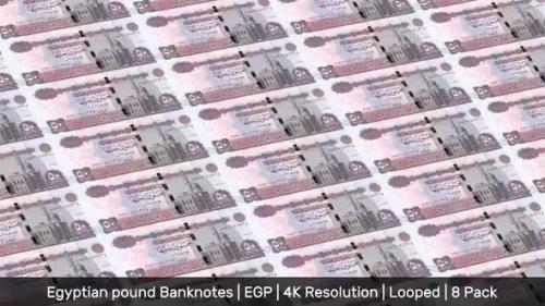 Videohive - Egypt Banknotes Money / Egyptian pound / Currency £ / EGP/ | 8 Pack | - 4K - 34521992