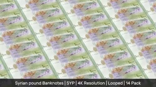 Videohive - Syria Banknotes Money / Syrian pound / Currency £ or ل.س / SYP/ | 14 Pack | - 4K - 34522004