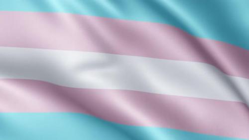 Videohive - Flag of Transgender Pride | UHD | 60fps - 34522702