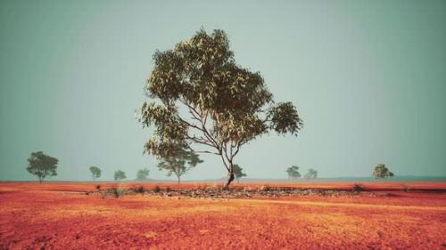 Videohive - Dry African Savannah with Trees - 34612078