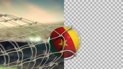 Videohive - Soccer Ball Scoring Goal Day - Cameroon - 34613115