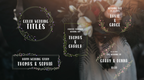 Videohive - Color Wedding Titles - 34704268