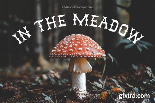 In the Meadow Font