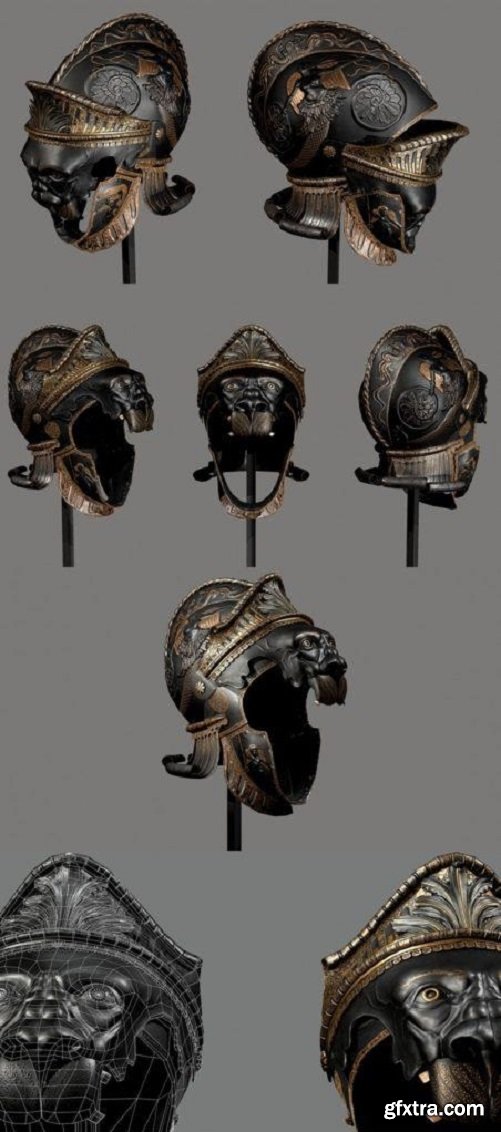Lion Helmet