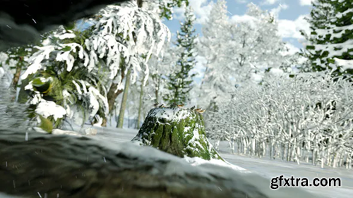 Videohive Winter Forest Nature Logo 29985870