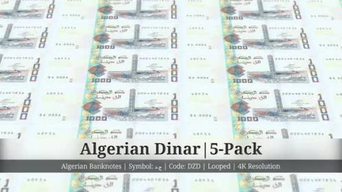 Videohive - Algerian Dinar | Algeria Currency - 5 Pack | 4K Resolution | Looped - 34934063