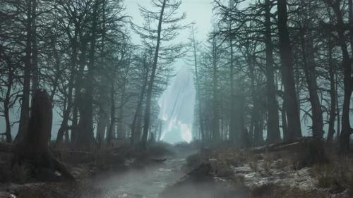 Videohive - Loop Daytime Scary Forest with Flying Ghosts - 34858917