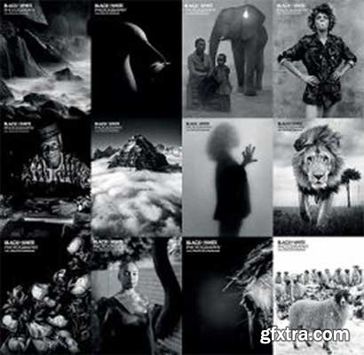Black + White Photography - Full Year 2021 Collection