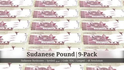 Videohive - Sudanese Pound | Sudan Currency - 9 Pack | 4K Resolution | Looped - 34858394
