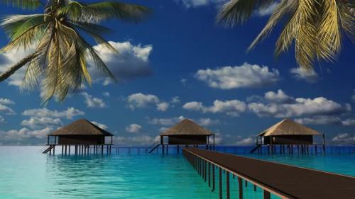 Videohive - Rest on the sea and on the beach with palm trees. Maldives hotel on the water. - 34959224