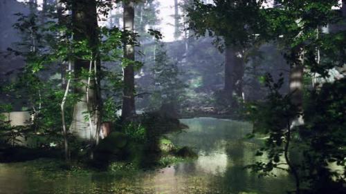 Videohive - Sunrise with Sunbeams Through the Forest By the Lake - 34931116