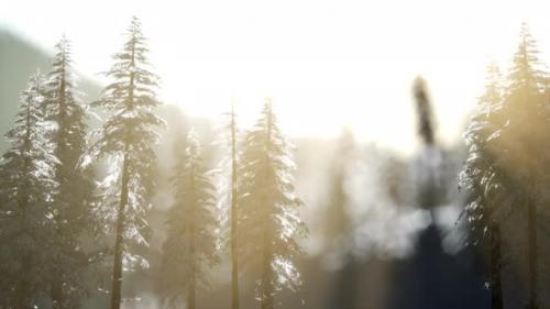 Videohive - Dramatic Winter Sunrise in the Mountains - 34931162