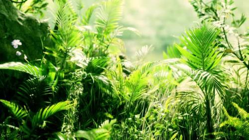 Videohive - Close Up Jungle Grass and Plants - 34947748